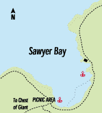 sawyer