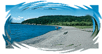 pebble beach